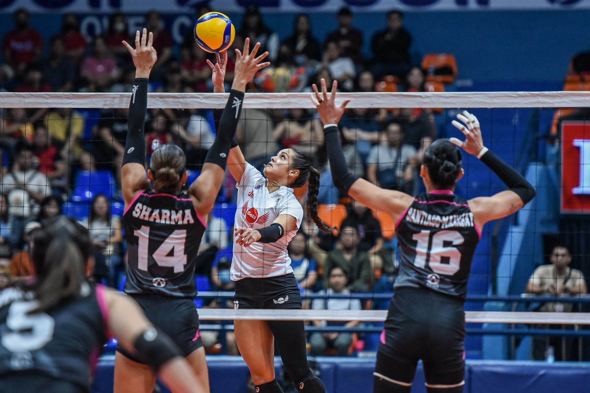 Arena plus