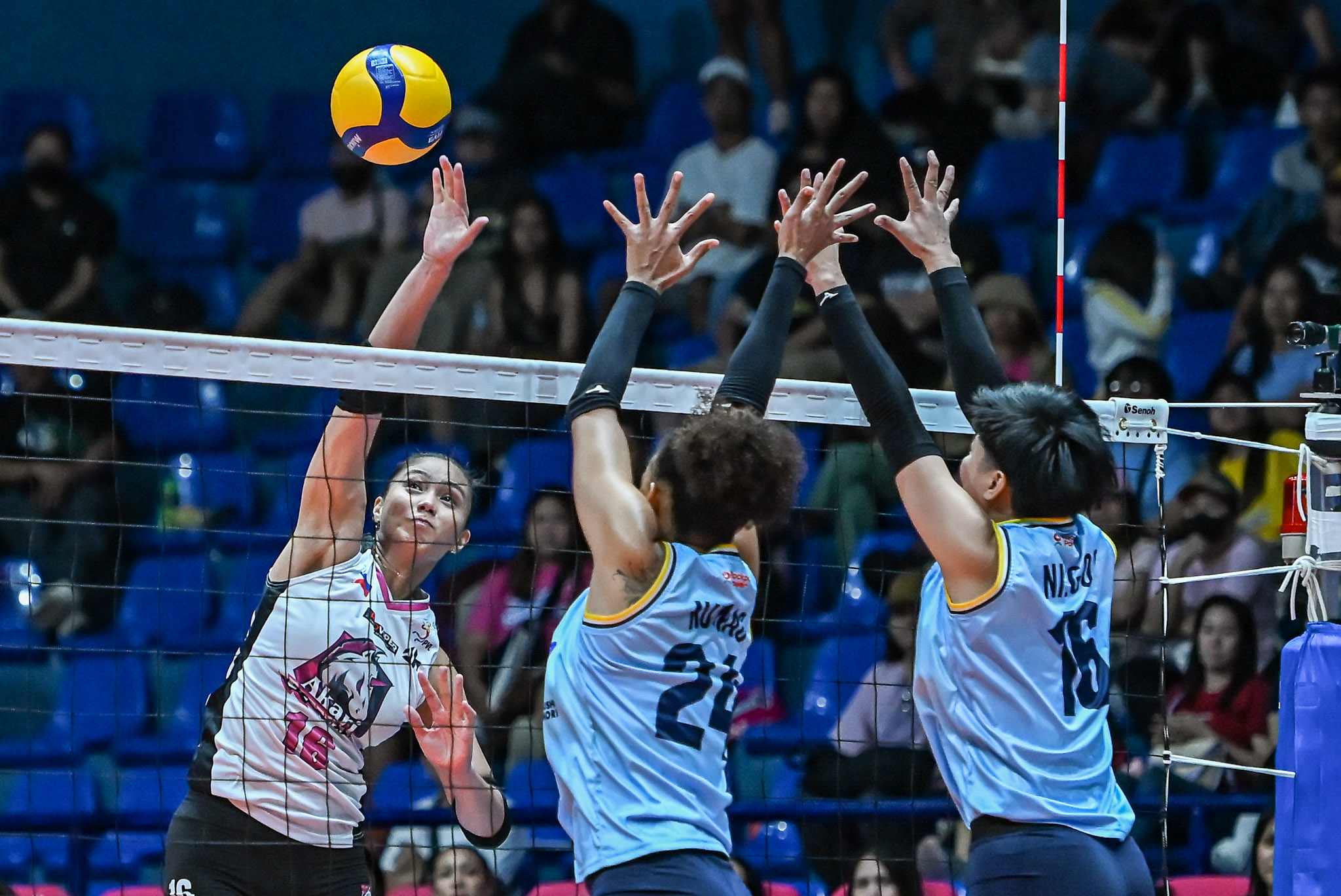 News | PVL - Premier Volleyball League